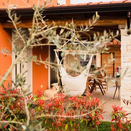 Vila Bianca Umag Dış mekan fotoğraf