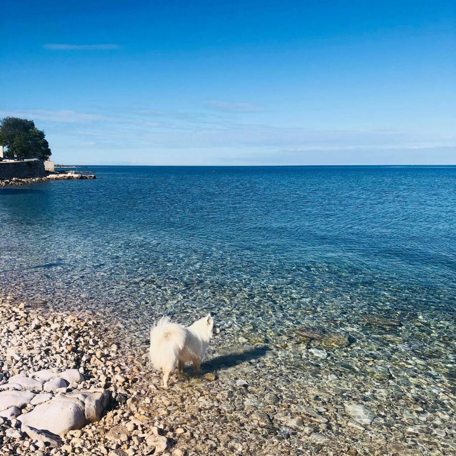 Vila Bianca Umag Dış mekan fotoğraf